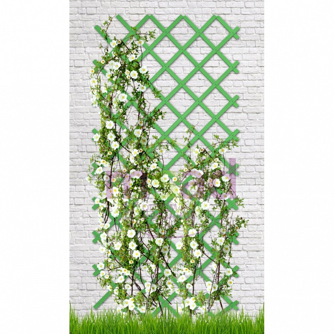 Шпалера для вертикального озеленения. Изящный элемент для вашего сада! Минск - изображение 1