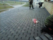 Монтаж мягкой кровли Минск