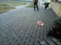 Монтаж мягкой кровли Минск - изображение 1