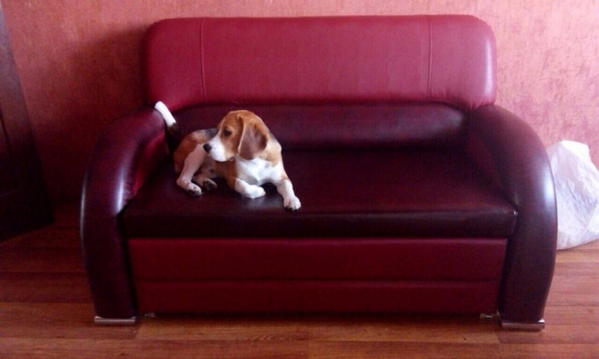 ПЕРЕТЯЖКА КРЕСЛА Минск - изображение 1