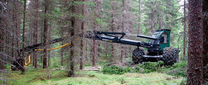 Ремонт лесохозяйственной техники Минск - изображение 1