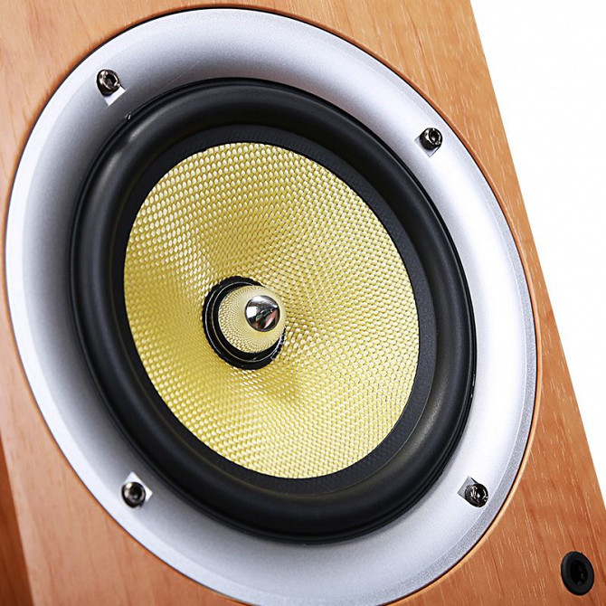 Ремонт динамиков Минск - изображение 1