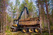 Ремонт гидравлических систем лесозаготовительной техники Минск