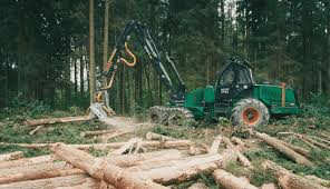 Ремонт и наладка харвестерных головок лесозаготовительной техники Минск - изображение 1