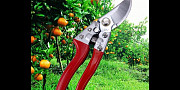 Ремонт садовых ножниц Минск