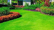 Устройство газонов Минск