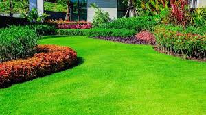 Устройство газонов Минск - изображение 1