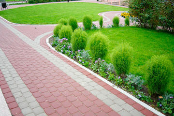 Озеленение территории Минск - изображение 1