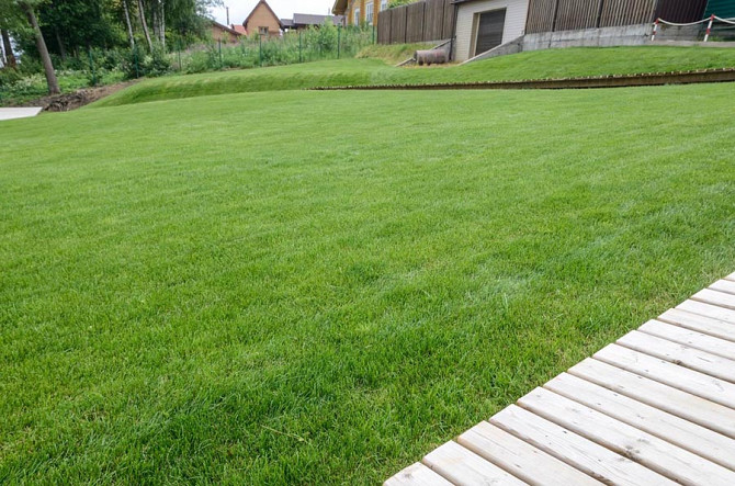 Устройство газонов Минск - изображение 1