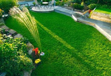 Озеленение и разбивка газонов Минск - изображение 1