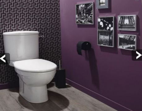 Ремонт туалета Минск - изображение 1