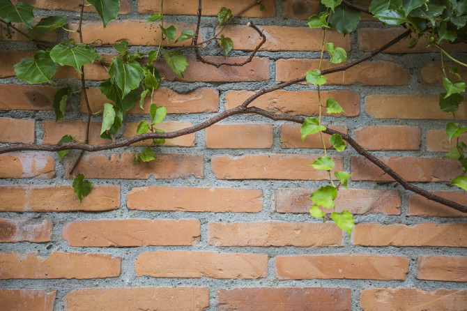 УКЛАДКА КИРПИЧА И БЛОКОВ Минск - изображение 1